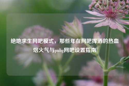 绝地求生网吧模式，那些年在网吧挥洒的热血烟火气与pubg网吧设置指南