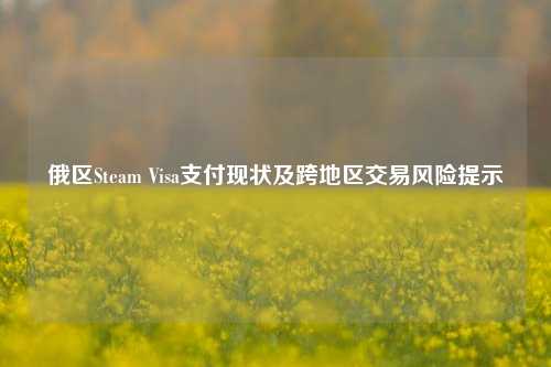 俄区Steam Visa支付现状及跨地区交易风险提示