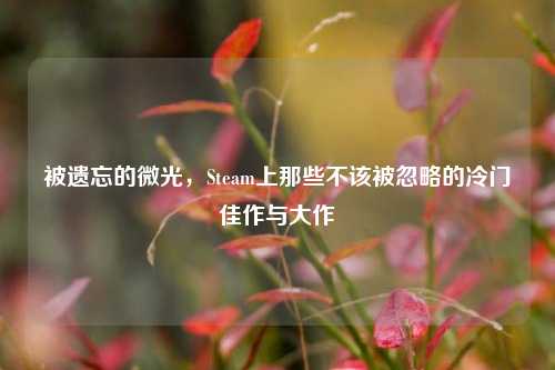 被遗忘的微光，Steam上那些不该被忽略的冷门佳作与大作