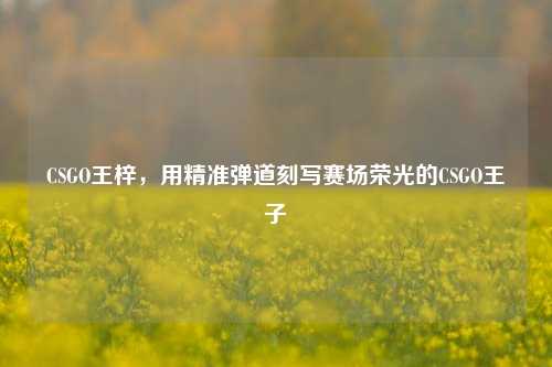 CSGO王梓，用精准弹道刻写赛场荣光的CSGO王子