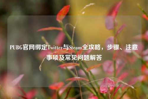 PUBG官网绑定Twitter与Steam全攻略，步骤、注意事项及常见问题解答