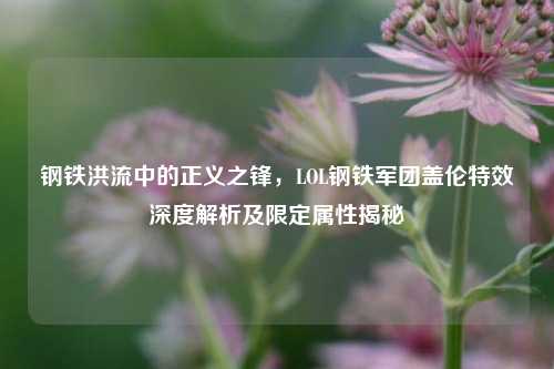 钢铁洪流中的正义之锋，LOL钢铁军团盖伦特效深度解析及限定属性揭秘