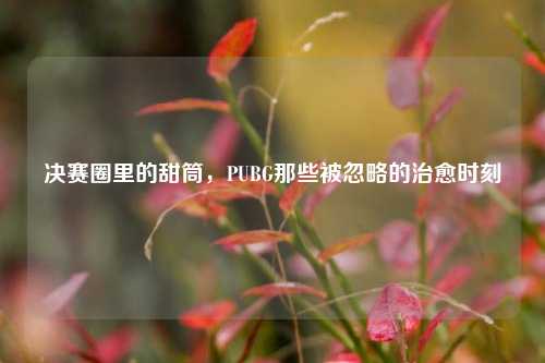 决赛圈里的甜筒，PUBG那些被忽略的治愈时刻