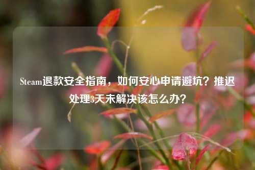 Steam退款安全指南，如何安心申请避坑？推迟处理3天未解决该怎么办？