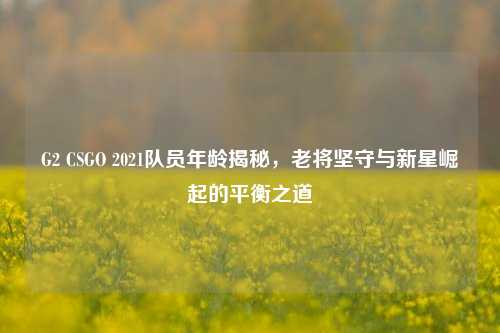 G2 CSGO 2021队员年龄揭秘，老将坚守与新星崛起的平衡之道