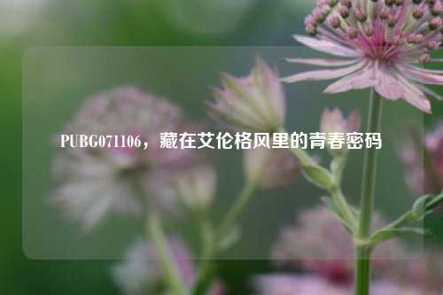 PUBG071106，藏在艾伦格风里的青春密码
