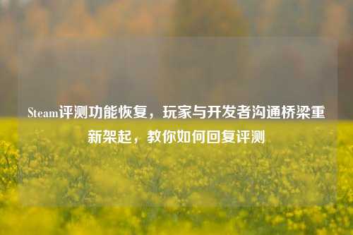 Steam评测功能恢复，玩家与开发者沟通桥梁重新架起，教你如何回复评测