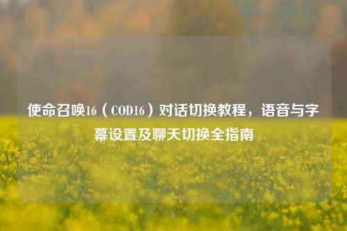 使命召唤16（COD16）对话切换教程，语音与字幕设置及聊天切换全指南