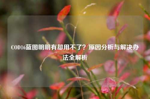 COD16蓝图明明有却用不了？原因分析与解决办法全解析