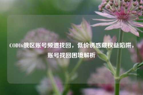 COD16俄区账号频遭找回，低价诱惑藏权益陷阱，账号找回困境解析