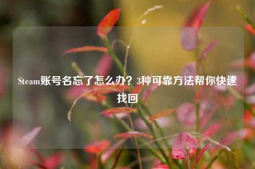 Steam账号名忘了怎么办？3种可靠方法帮你快速找回