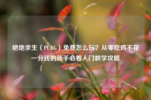 绝地求生（PUBG）免费怎么玩？从零吃鸡不花一分钱的新手必看入门教学攻略
