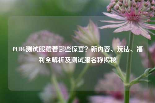 PUBG测试服藏着哪些惊喜？新内容、玩法、福利全解析及测试服名称揭秘