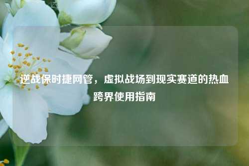 逆战保时捷网管，虚拟战场到现实赛道的热血跨界使用指南