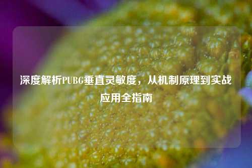 深度解析PUBG垂直灵敏度，从机制原理到实战应用全指南