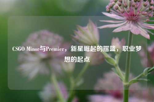 CSGO Minor与Premier，新星崛起的摇篮，职业梦想的起点