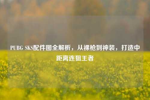 PUBG SKS配件图全解析，从裸枪到神装，打造中距离连狙王者