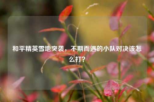 和平精英雪地突袭，不期而遇的小队对决该怎么打？