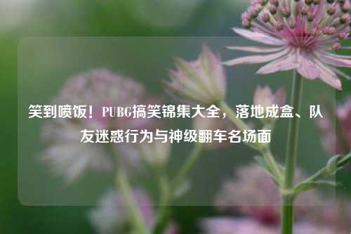 笑到喷饭！PUBG搞笑锦集大全，落地成盒、队友迷惑行为与神级翻车名场面