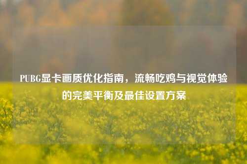 PUBG显卡画质优化指南，流畅吃鸡与视觉体验的完美平衡及最佳设置方案
