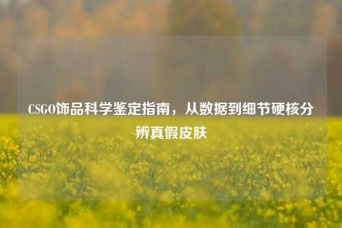 CSGO饰品科学鉴定指南，从数据到细节硬核分辨真假皮肤