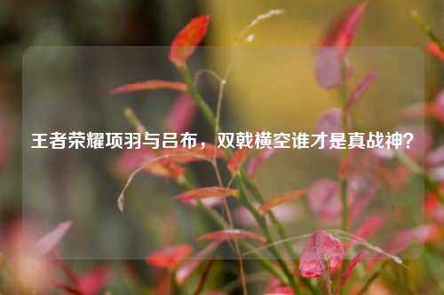 王者荣耀项羽与吕布，双戟横空谁才是真战神？
