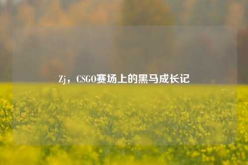 Zj，CSGO赛场上的黑马成长记