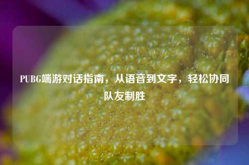 PUBG端游对话指南，从语音到文字，轻松协同队友制胜