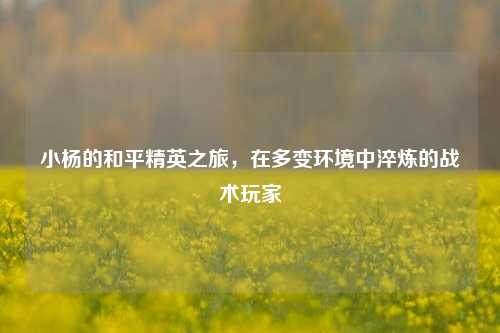 小杨的和平精英之旅，在多变环境中淬炼的战术玩家
