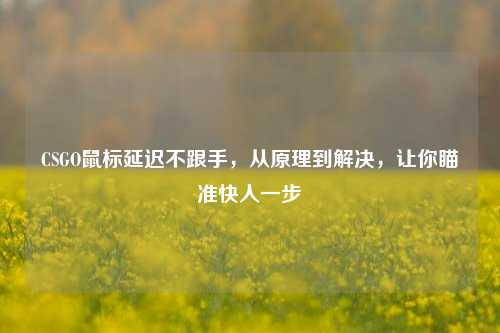 CSGO鼠标延迟不跟手，从原理到解决，让你瞄准快人一步
