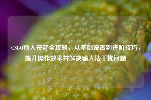 CSGO输入按键全攻略，从基础设置到进阶技巧，提升操作效率并解决输入法干扰问题
