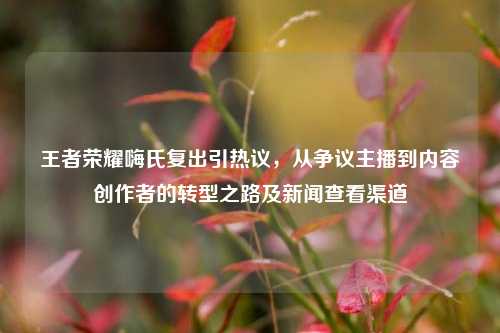 王者荣耀嗨氏复出引热议，从争议主播到内容创作者的转型之路及新闻查看渠道