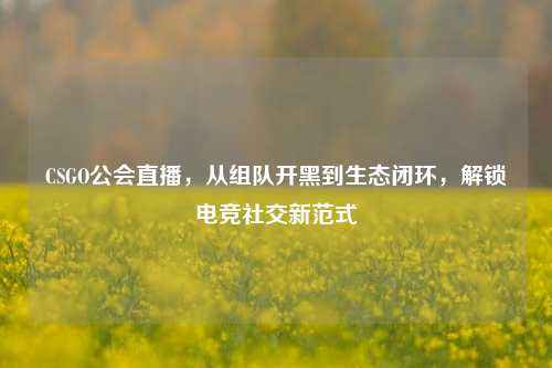 CSGO公会直播，从组队开黑到生态闭环，解锁电竞社交新范式