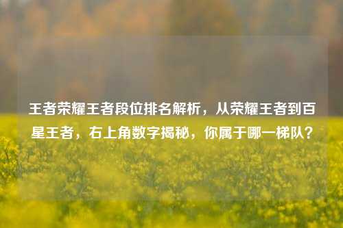 王者荣耀王者段位排名解析，从荣耀王者到百星王者，右上角数字揭秘，你属于哪一梯队？