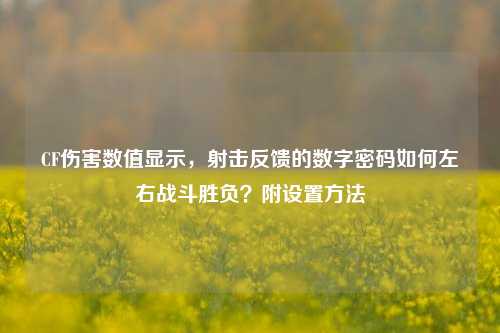 CF伤害数值显示，射击反馈的数字密码如何左右战斗胜负？附设置方法