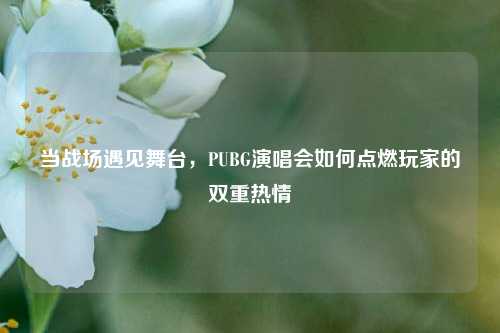 当战场遇见舞台，PUBG演唱会如何点燃玩家的双重热情