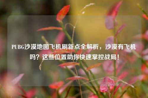 PUBG沙漠地图飞机刷新点全解析，沙漠有飞机吗？这些位置助你快速掌控战局！