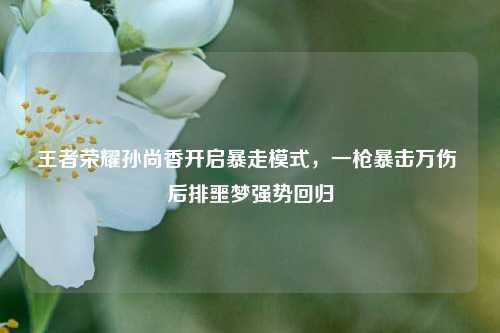 王者荣耀孙尚香开启暴走模式，一枪暴击万伤 后排噩梦强势回归