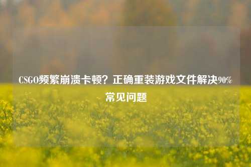 CSGO频繁崩溃卡顿？正确重装游戏文件解决90%常见问题