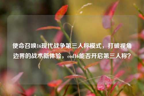 使命召唤16现代战争第三人称模式，打破视角边界的战术新体验，cod16能否开启第三人称？