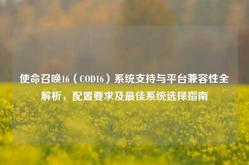使命召唤16（COD16）系统支持与平台兼容性全解析，配置要求及最佳系统选择指南