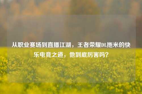 从职业赛场到直播江湖,王者荣耀DL拖米的快乐电竞之道,他到底厉害吗?