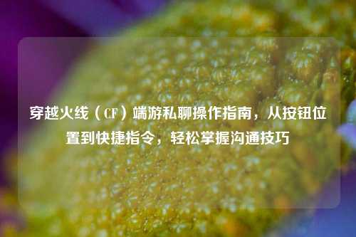 穿越火线（CF）端游私聊操作指南，从按钮位置到快捷指令，轻松掌握沟通技巧