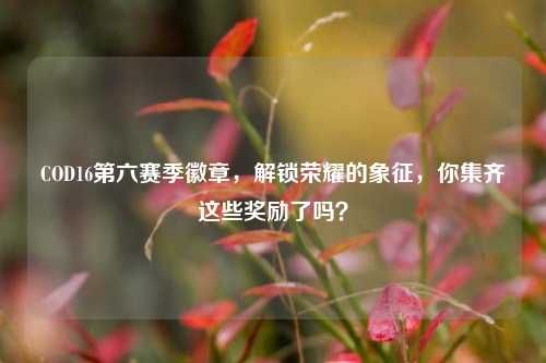 COD16第六赛季徽章，解锁荣耀的象征，你集齐这些奖励了吗？