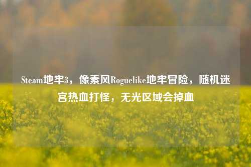 Steam地牢3，像素风Roguelike地牢冒险，随机迷宫热血打怪，无光区域会掉血