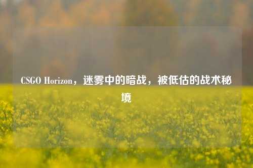 CSGO Horizon，迷雾中的暗战，被低估的战术秘境