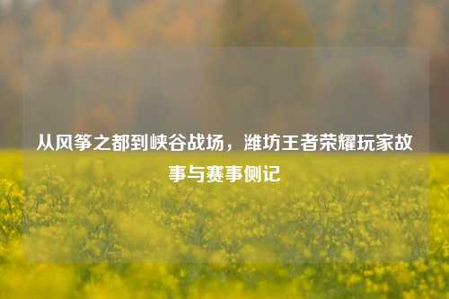 从风筝之都到峡谷战场，潍坊王者荣耀玩家故事与赛事侧记