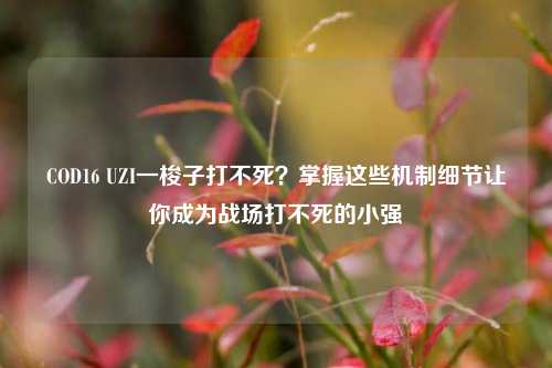 COD16 UZI一梭子打不死？掌握这些机制细节让你成为战场打不死的小强