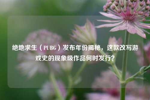 绝地求生（PUBG）发布年份揭秘，这款改写游戏史的现象级作品何时发行？