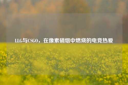 LLG与CSGO，在像素硝烟中燃烧的电竞热爱